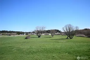 260 Secluded Way, Sequim, WA 98382 - Photo 25