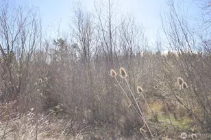 260 Secluded Way, Sequim, WA 98382 - Photo 31