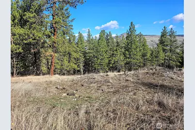 380 Lot Chopaka Tbd Road, Tonasket, WA 98855 - Photo 3
