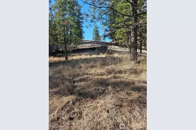 380 Lot Chopaka Tbd Road, Tonasket, WA 98855 - Photo 7