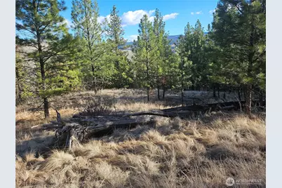 380 Lot Chopaka Tbd Road, Tonasket, WA 98855 - Photo 5
