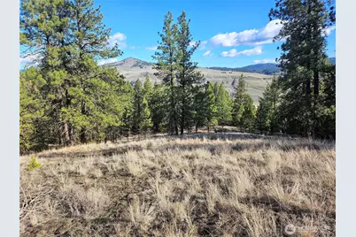 380 Lot Chopaka Tbd Road, Tonasket, WA 98855 - Photo 1