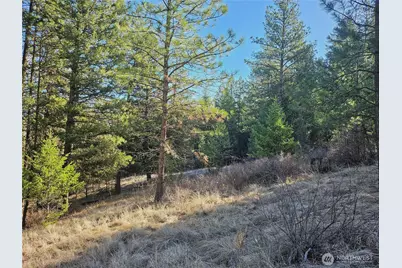 380 Lot Chopaka Tbd Road, Tonasket, WA 98855 - Photo 9