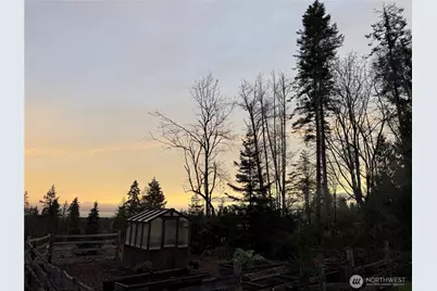 165 Wildcat Road, Port Angeles, WA 98363 - Photo 5