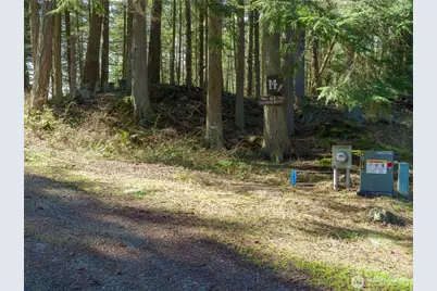 61 Sunrise Bluff, Orcas Island, WA 98279 - Photo 39