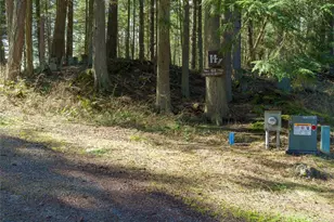 61 Sunrise Bluff, Orcas Island, WA 98279 - Photo 39