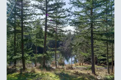 61 Sunrise Bluff, Orcas Island, WA 98279 - Photo 37