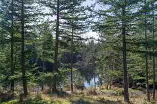 61 Sunrise Bluff, Orcas Island, WA 98279 - Photo 37