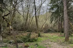 8914 130th Ave Ct, Anderson Island, WA 98303 - Photo 1