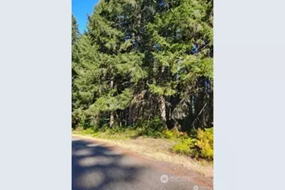 8914 130th Avenue Ct, Anderson Island, WA 98303 - Photo 1