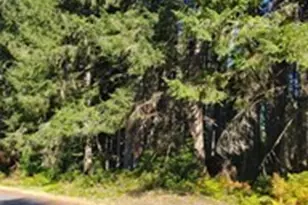 8914 130th Ave Ct, Anderson Island, WA 98303 - Photo 1