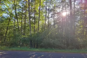 8906 130th Ave Ct, Anderson Island, WA 98303 - Photo 1