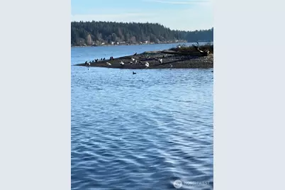 5280 Illahee Road NE, Bremerton, WA 98311 - Photo 21