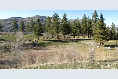 117 Vintin Road, Carlton, WA 98814 - Photo 5