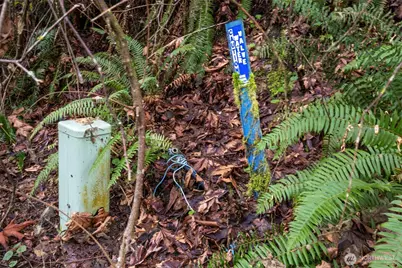 2401 NE Solar View Court, Keyport, WA 98345 - Photo 17