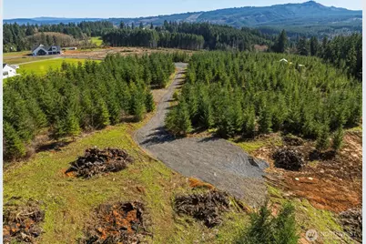 128 Brim Ridge Lane, Winlock, WA 98596 - Photo 5