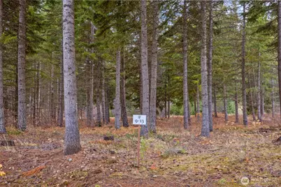 230 Goat Creek Lane, Cle Elum, WA 98922 - Photo 3