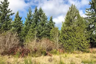 14623 Lindsay Loop SE, Yelm, WA 98597 - Photo 1