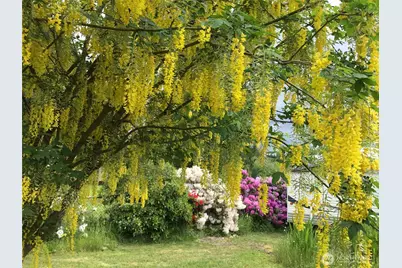 6 Rosemary Lane S, Elma, WA 98541 - Photo 29