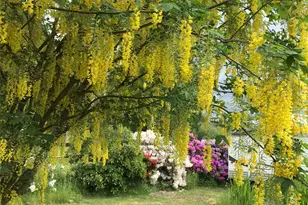 6 Rosemary Ln S, Elma, WA 98541 - Photo 29