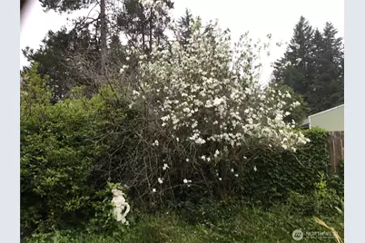 6 Rosemary Lane S, Elma, WA 98541 - Photo 27