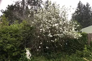 6 Rosemary Ln S, Elma, WA 98541 - Photo 27