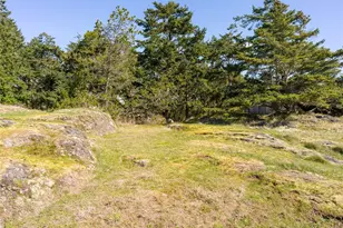 0 Caldwell, Lopez Island, WA 98261 - Photo 21