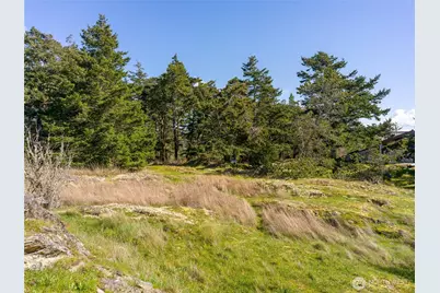 0 Caldwell, Lopez Island, WA 98261 - Photo 19
