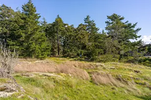 0 Caldwell, Lopez Island, WA 98261 - Photo 19