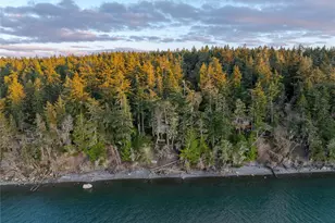 385 Doe Run, Lopez Island, WA 98261 - Photo 7