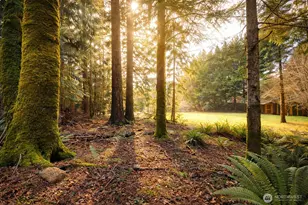 931 Turkey Rd NW, Olympia, WA 98502 - Photo 35