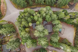 21 N Buckhorn Ct, Hoodsport, WA 98548 - Photo 35