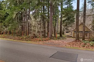 380 N Duckabush Dr E, Hoodsport, WA 98548 - Photo 29