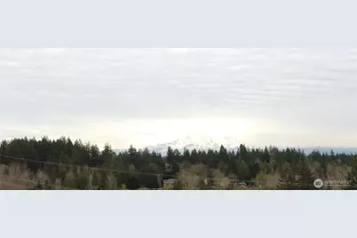 30425 6th Avenue S, Roy, WA 98580 - Photo 9