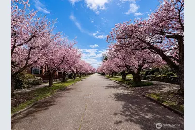 7736 33rd Ave NW, Seattle, WA 98117 - Photo 7