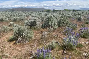 5 A Lester Rd, Ellensburg, WA 98926 - Photo 5