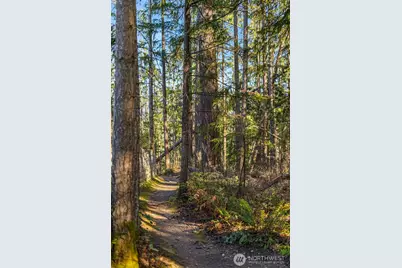 404 6th Lane NE, Issaquah, WA 98029 - Photo 37