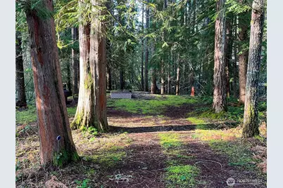 101 N Duckabush Loop W, Hoodsport, WA 98548 - Photo 3