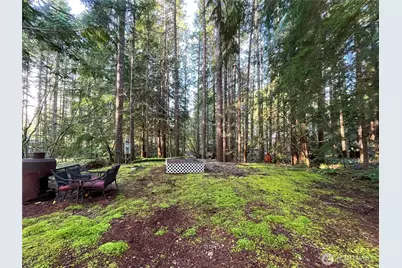 101 N Duckabush Loop W, Hoodsport, WA 98548 - Photo 5