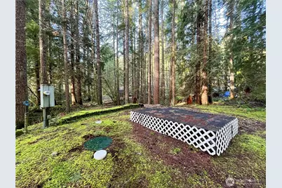 101 N Duckabush Loop W, Hoodsport, WA 98548 - Photo 9