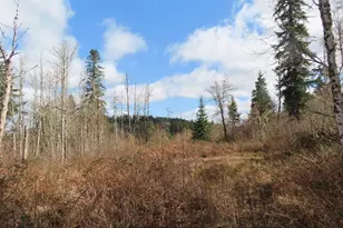 125 Oppelt Rd, Chehalis, WA 98532 - Photo 1