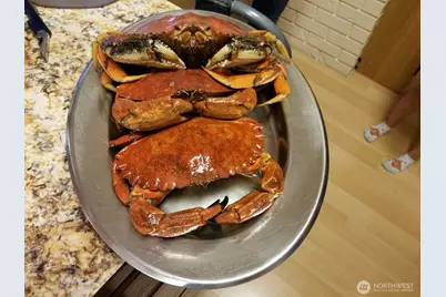 510 Johnson Road, Quilcene, WA 98376 - Photo 39