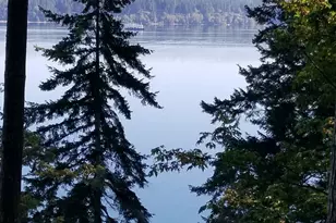 510 Johnson Rd, Quilcene, WA 98376 - Photo 37