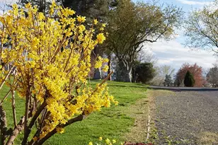 3115 Brisbane Dr, Walla Walla, WA 99362 - Photo 31