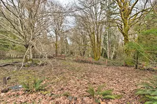 1051 E Crestview Dr, Shelton, WA 98584 - Photo 31