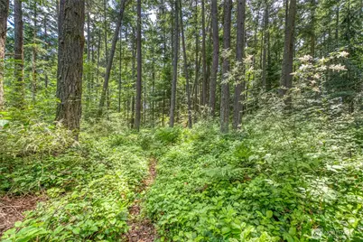 31 Colgan Creek Road, Orcas Island, WA 98245 - Photo 39