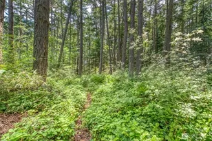 31 Colgan Creek Rd, Orcas Island, WA 98245 - Photo 39