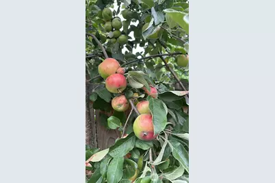 1013 233rd Place NE, Sammamish, WA 98074 - Photo 37