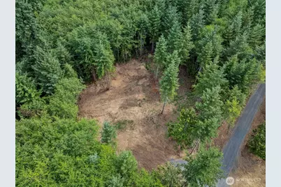 217 Durins Place, Castle Rock, WA 98611 - Photo 1