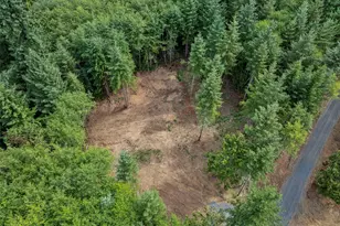 217 Durins Pl, Castle Rock, WA 98611 - Photo 1